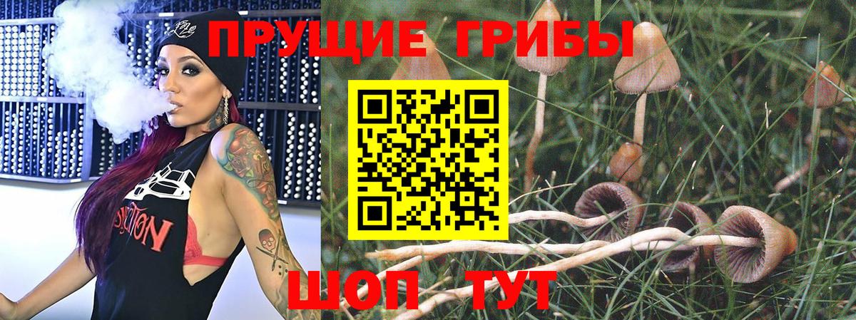 Вичуга  Галлюциногенные грибы Psilocybine cubensis  Вход с VPN 